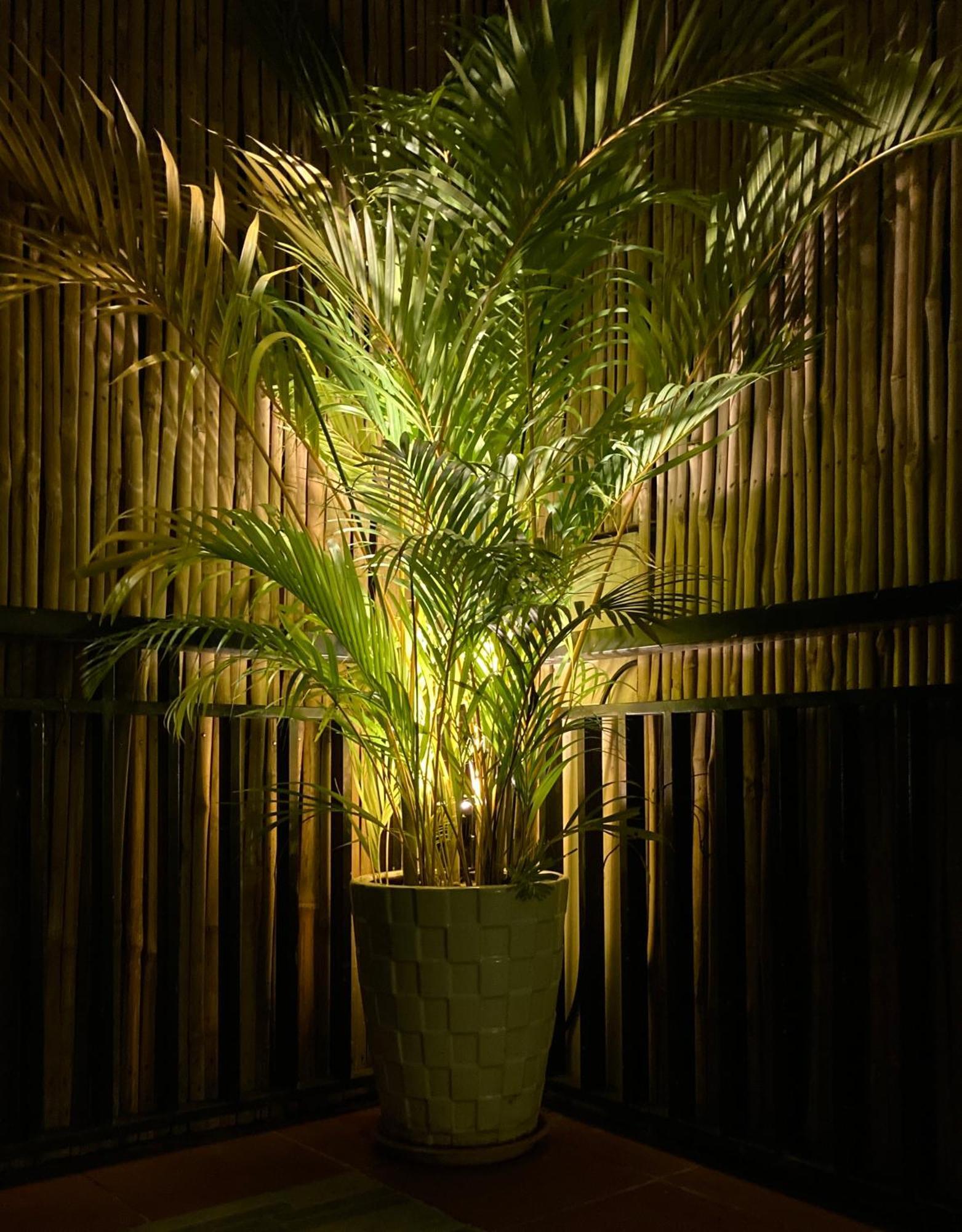 Lotus Haven Villa Siem Reap Dış mekan fotoğraf