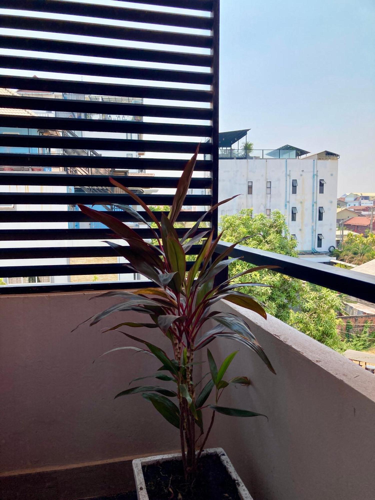 Lotus Haven Villa Siem Reap Dış mekan fotoğraf